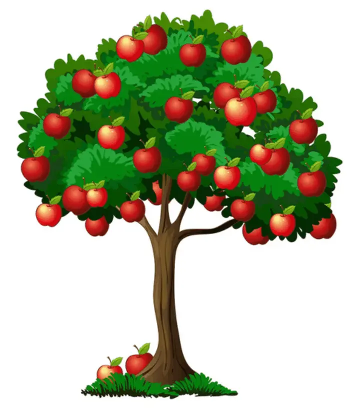 apfelbaum-isoliert-auf-weiss auf Freepik